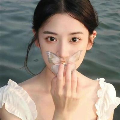妖精森林的小不点