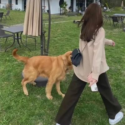 萌仔萌萌宅